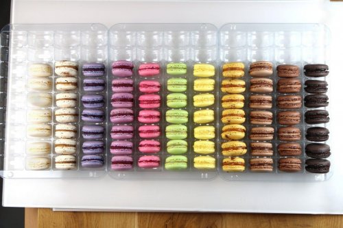 Macaronok